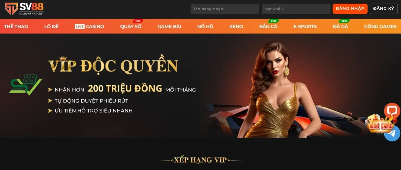 Đặc quyền VIP nhà cái dành cho người chơi